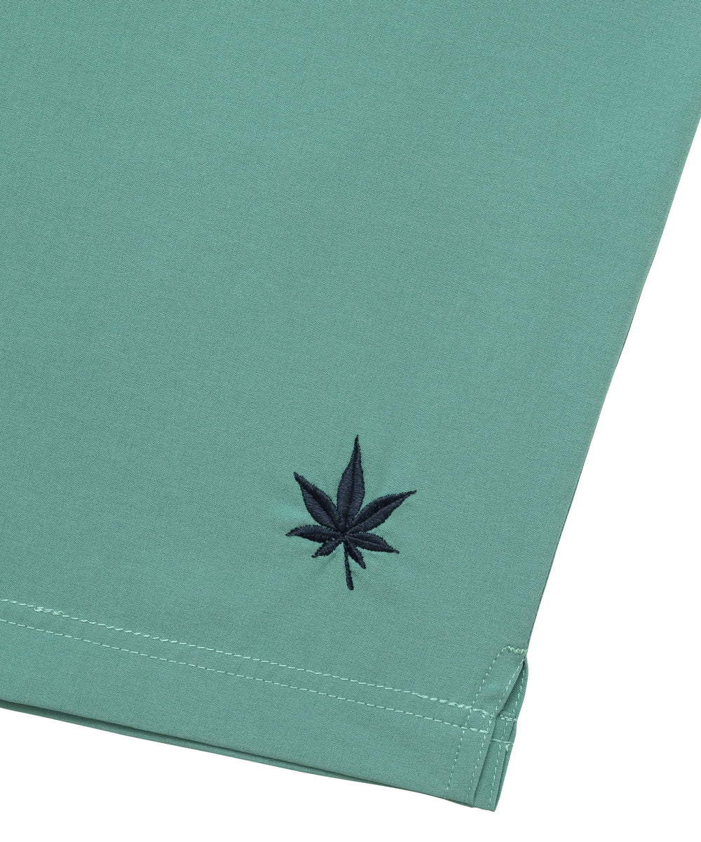 #color_seafoam