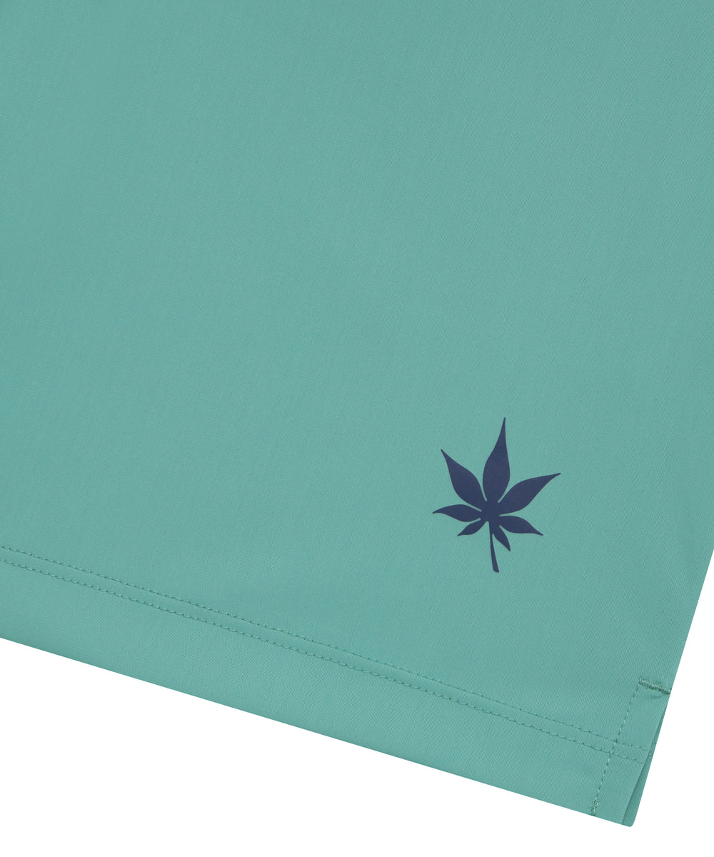 #color_seafoam
