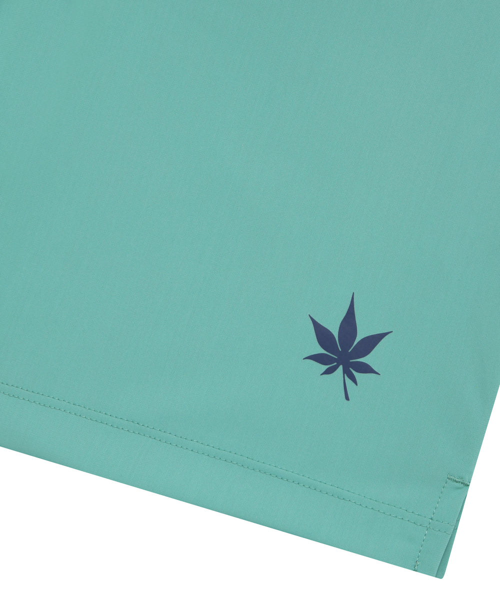 #color_seafoam