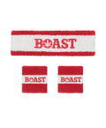 Headband/Wristband Set
