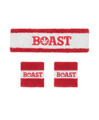 Headband/Wristband Set