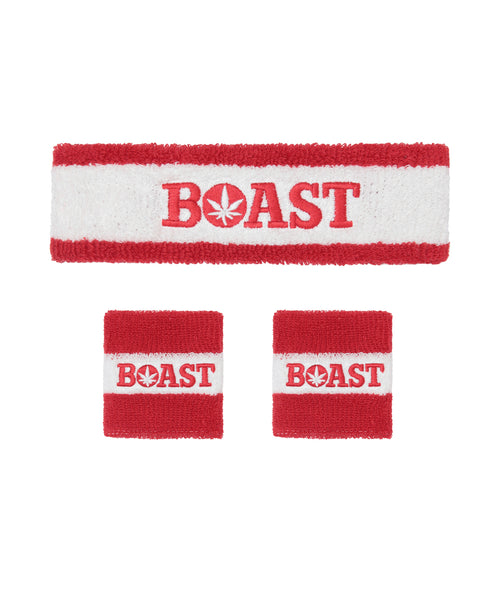 Headband/Wristband Set