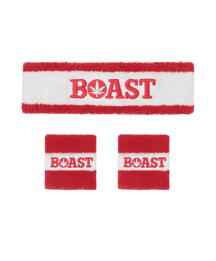 Headband/Wristband Set