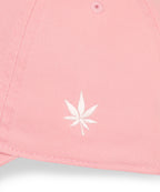 Dad Hat in Pink White