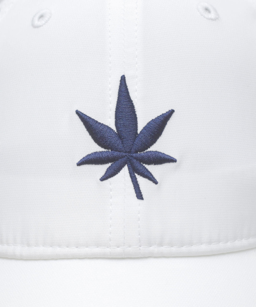 #color_white