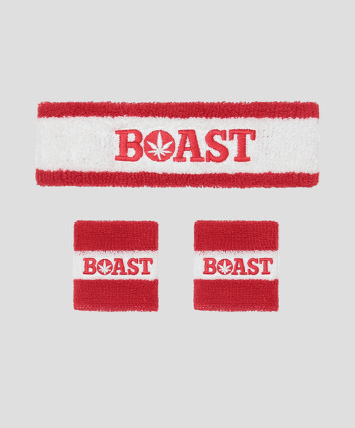 Headband/Wristband Set